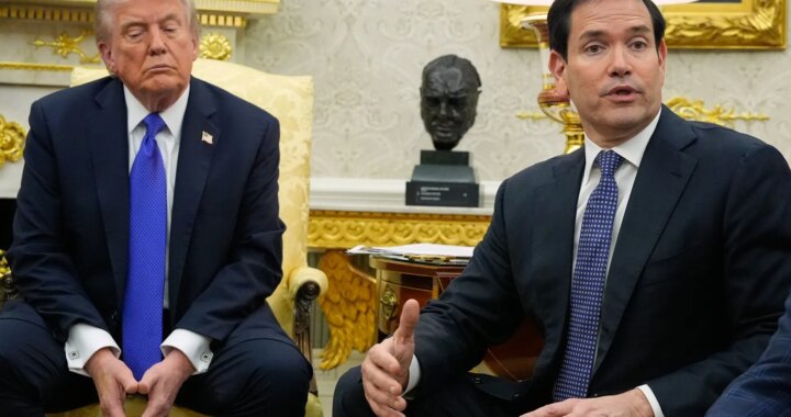 Trump bromea sobre que Marco Rubio sea el futuro presidente de Cuba: "¡Me suena bien!"