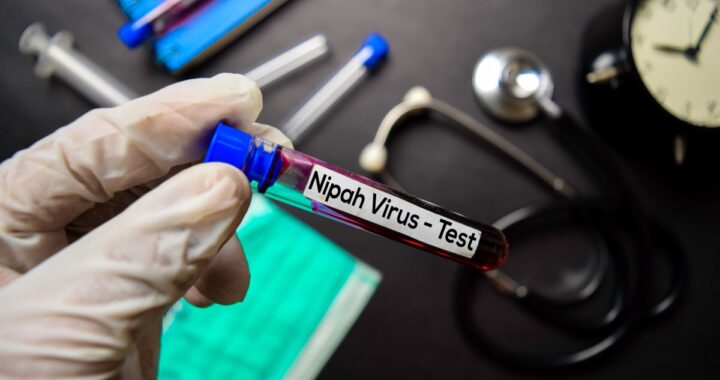 Brote de virus Nipah en India: ¿cuáles son los riesgos y la respuesta de la OMS?