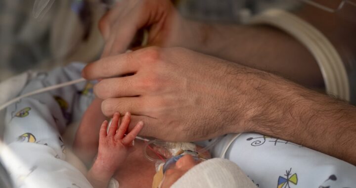 La donación de sangre de cordón umbilical se abre camino para tratar la anemia en bebés muy prematuros | Salud y bienestar