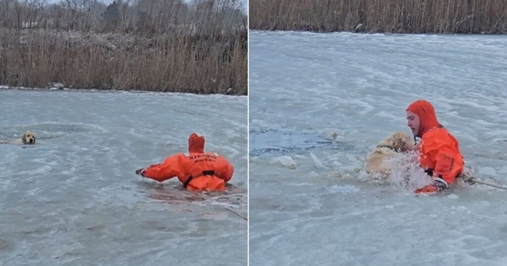 El impresionante rescate de un perro atrapado en un lago helado en Rhode Island que conmovió a las redes sociales
