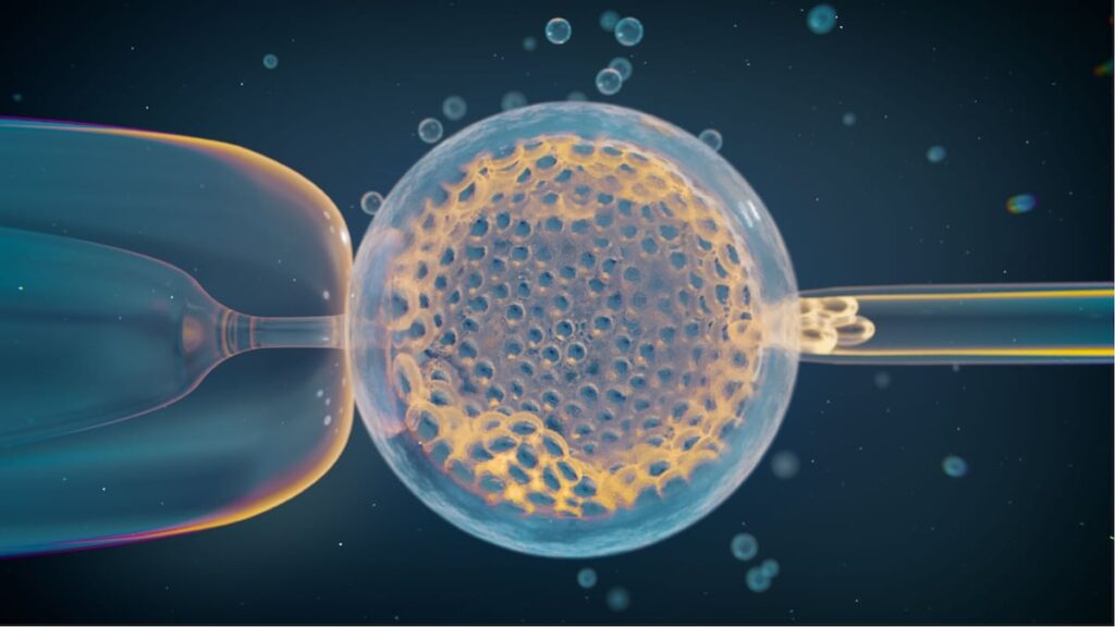 Identificados los factores genéticos que aumentan el riesgo de aborto | Salud y bienestar