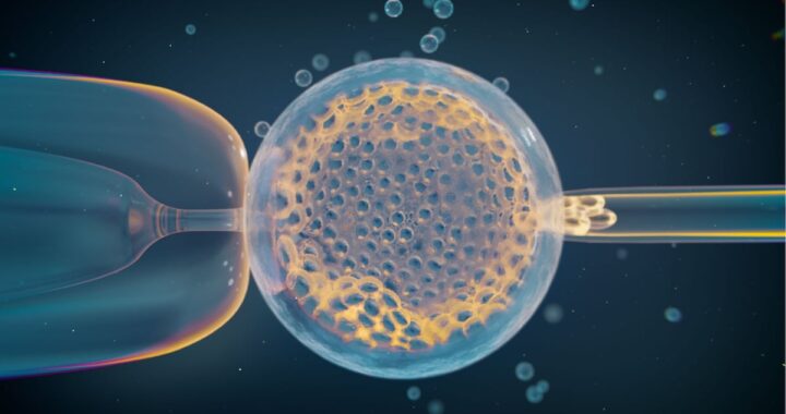 Identificados los factores genéticos que aumentan el riesgo de aborto | Salud y bienestar