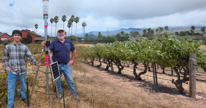 Cómo la tecnología y la inteligencia artificial están cambiando el futuro de los viñedos en CaliforniaDesde drones hasta supercomputadoras, un experimento en Sonoma revela el impacto de la conectividad y los datos en la producción de vino y en la formación de los agricultores del mañana
