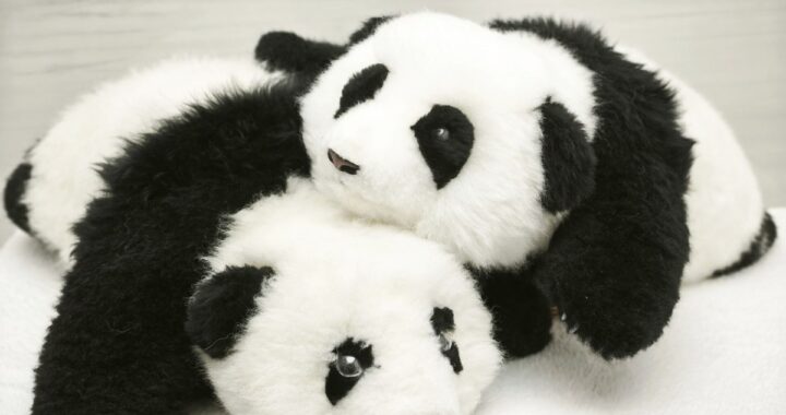 Este panda con inteligencia artificial quiere ser el “compañero” ideal en la tercera edad: así funciona An’An