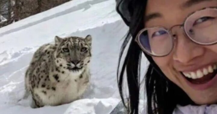 El selfie de una turista segundos antes de que un leopardo de las nieves la ataque