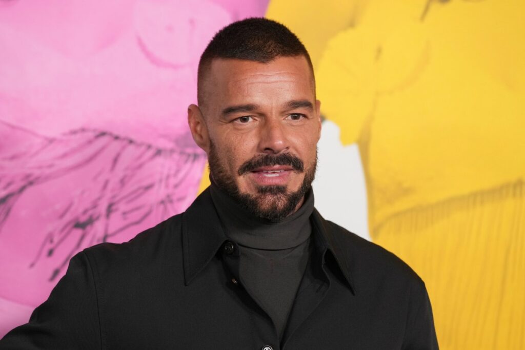 Ricky Martin viajó a Rio de Janeiro para disfrutar del carnaval