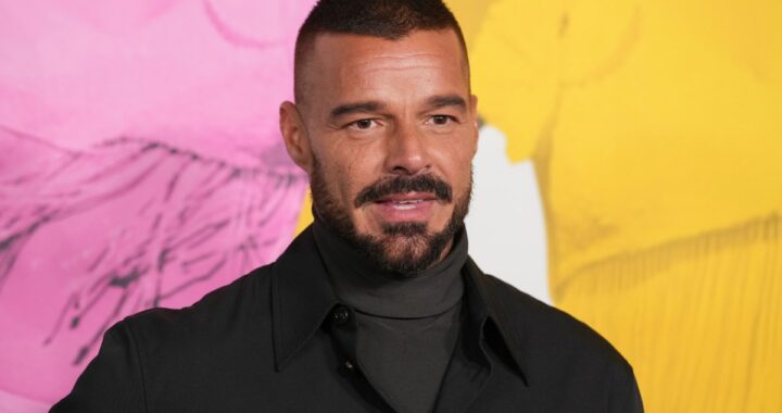 Ricky Martin viajó a Rio de Janeiro para disfrutar del carnaval