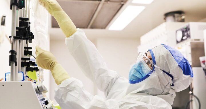 Un fármaco viviente logra eliminar los tumores de ratones con cáncer de páncreas, ovario o riñón | Salud y bienestar