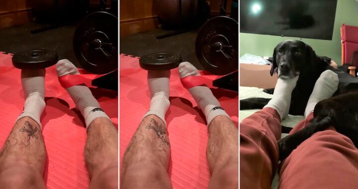 Entrena los pies en el gimnasio por una razón inesperada y el video con su perro se vuelve viral en TikTok