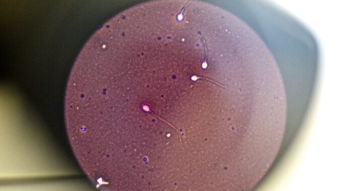 Eyacular con frecuencia mejora la calidad del esperma, según el mayor estudio hasta la fecha | Salud y bienestar