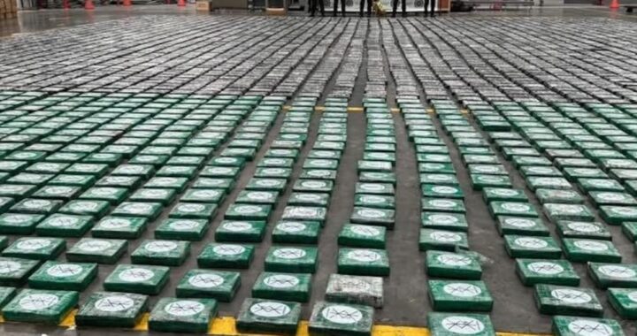 frustran envío de 4 toneladas de droga hacia Europa