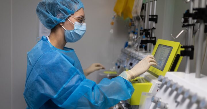 Unas células inmunitarias reforzadas con un ‘anzuelo’ logran cazar mejor el cáncer | Salud y bienestar