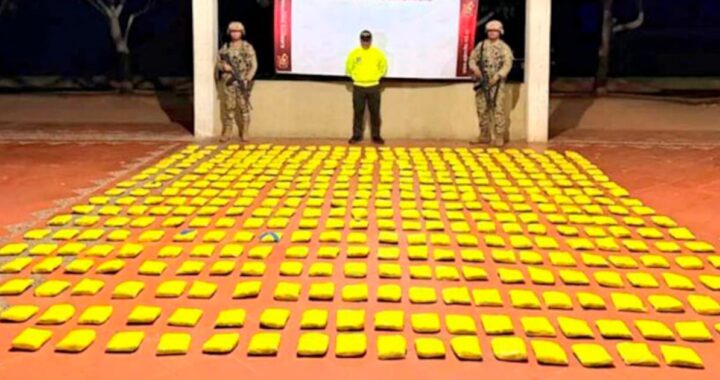 Incautan más de 250 kilos de marihuana escondidos en una vivienda