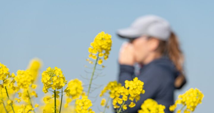 Persona con sándromes de alergia nasal y ocular provocados por el polen de las flores.