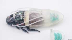 Cucaracha ciborg con traje de buceo en 3D para rescate submarino
