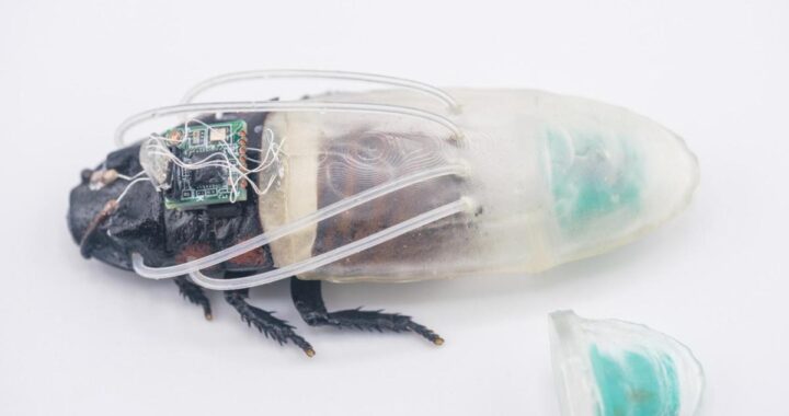 Cucaracha ciborg con traje de buceo en 3D para rescate submarino