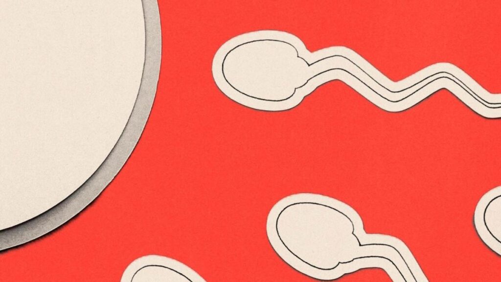 ¿Hombres ignorados? La realidad sobre la infertilidad masculina