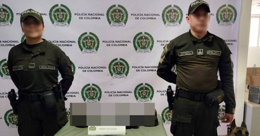 Incautan más de 6,5 kilos de estupefacientes enviados por encomienda en Cartagena