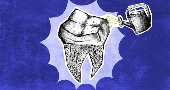 Odontología regenerativa: un cambio en la forma de tratar tus dientes