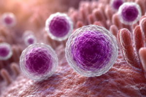Ciclosporiasis en 32 estados: cuáles son los síntomas y cuándo puede ser grave